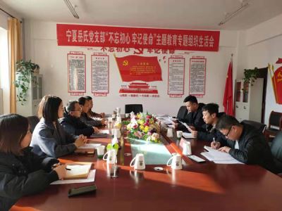 寧夏岳氏黨支部召開“不忘初心，牢記使命”主題教育專題組織生活會